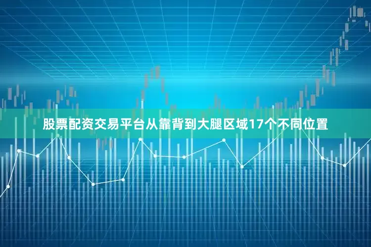 股票配资交易平台从靠背到大腿区域17个不同位置